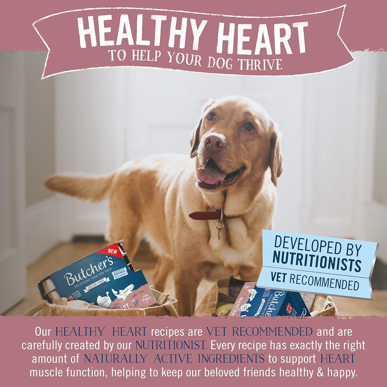 Healthy Heart Wet Dog Food Tins, 9.36 Kg (24 X 390 G)