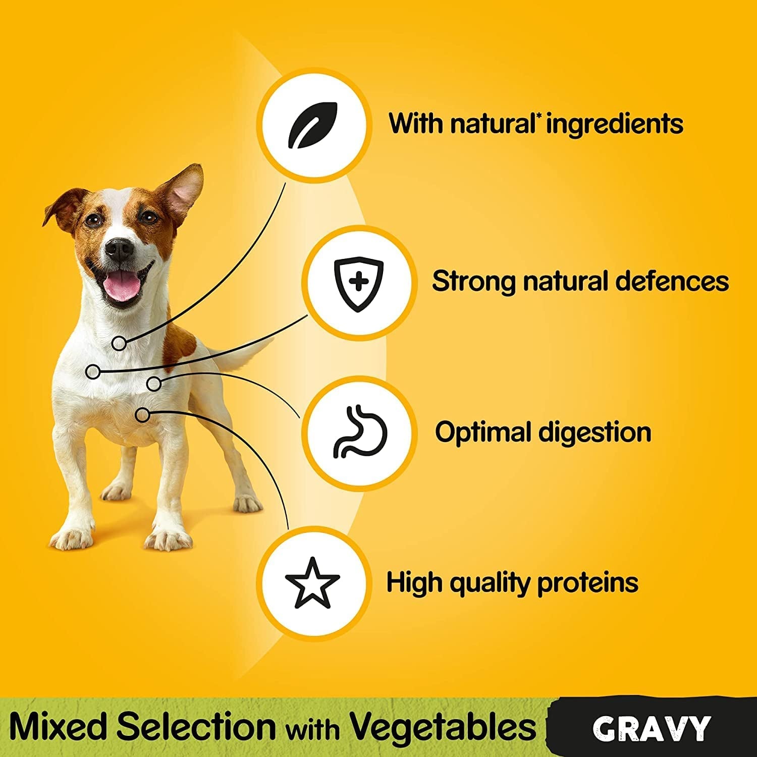 Mixed Selection in Gravy 40 Pouches, Adult Wet Dog Food, Megapack (40 X 100 G)