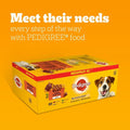 Mixed Selection in Jelly 40 Pouches, Adult Wet Dog Food, Megapack , 100 G (Pack of 40)