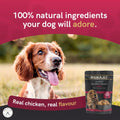 Banquet - Wet Dog Food - Flaked Chicken Breast, Rice, Liver, Veg - 100% Natural Ingredients, 100 G (Pack of 30)