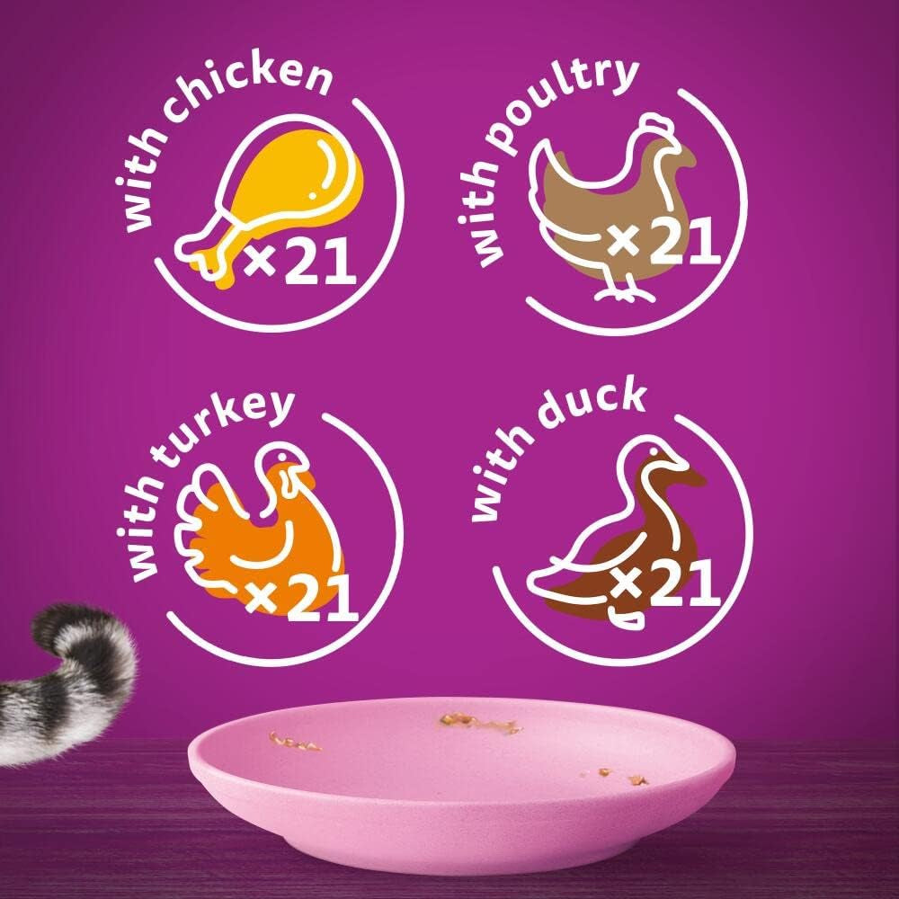 Junior Poultry Selection in Jelly 84 Pouches, Wet Kitten & Cat Food, Selection of Chicken, Duck, Poultry & Turkey, Megapack (84 X 85 G)