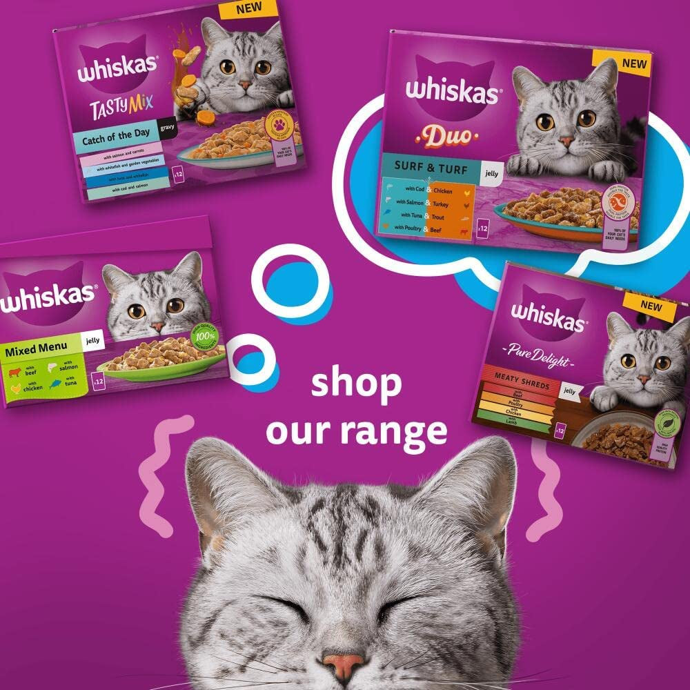 Premium Wet Cat Food Pouche