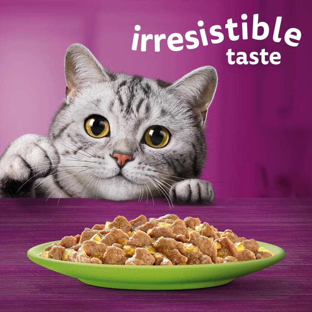 Premium Wet Cat Food Pouche