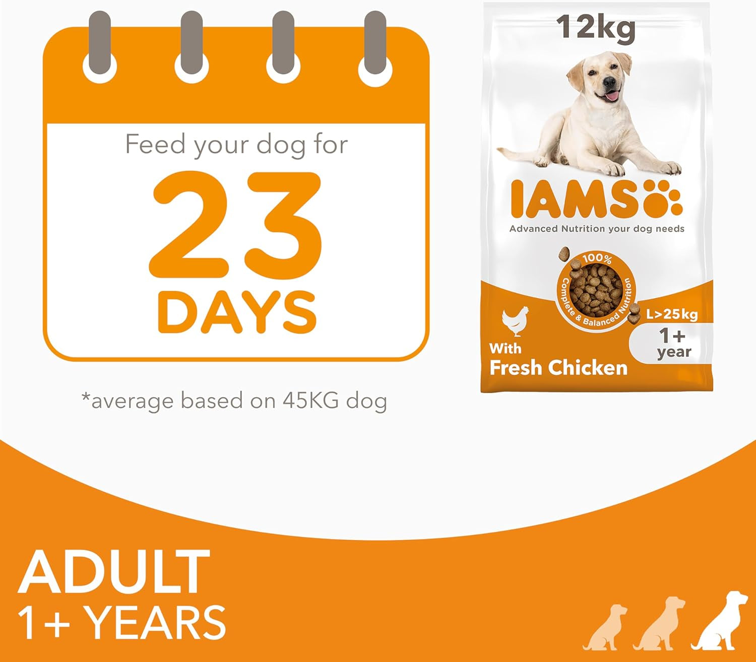 Complete Dry Dog Food for Adult 1+ Large Breeds with Chicken 12 Kg