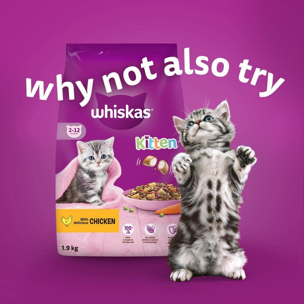 Junior Classic Selection in Gravy 84 Pouches, Wet Kitten & Cat Food, Selection of Beef, Lamb, Chicken & Poultry, Megapack (84 X 85 G)